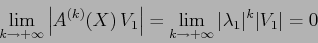 \begin{displaymath}
\lim_{k\to +\infty} \left\vert A^{(k)}(X)\,V_1\right\vert =
\lim_{k\to +\infty} \vert\lambda_1\vert^k \vert V_1\vert =0
\end{displaymath}